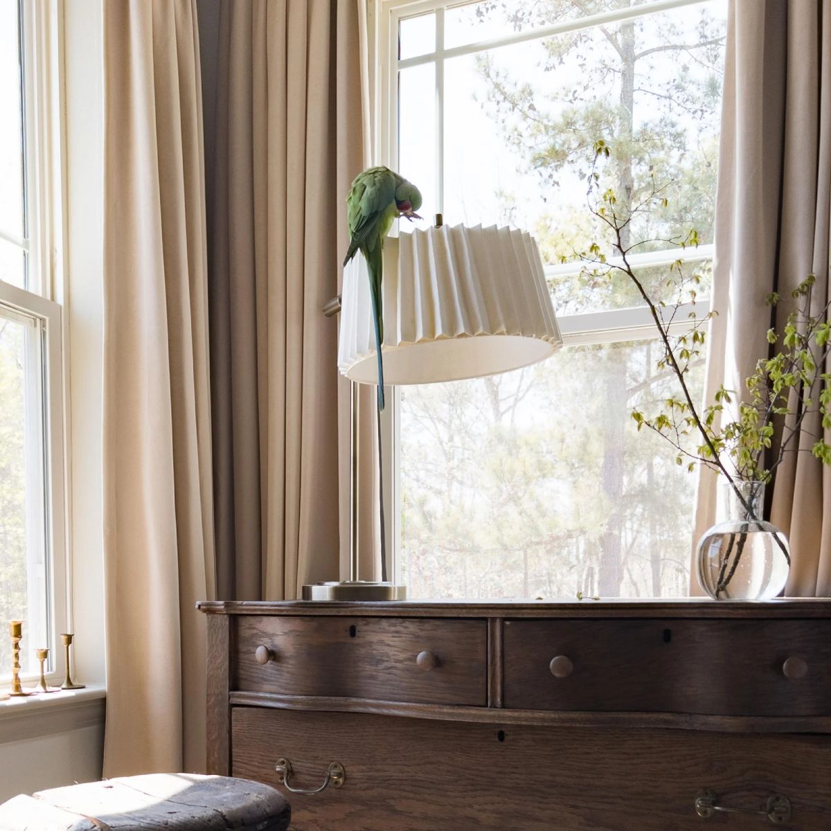 Elara Soft 100% Blackout Velvet Curtains - MorraHome