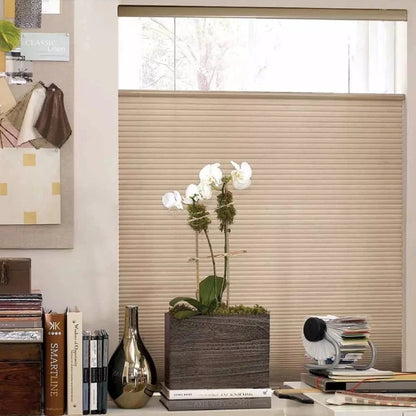 Custom No-Drill Top Down Bottom Up Blackout Cellular Shades