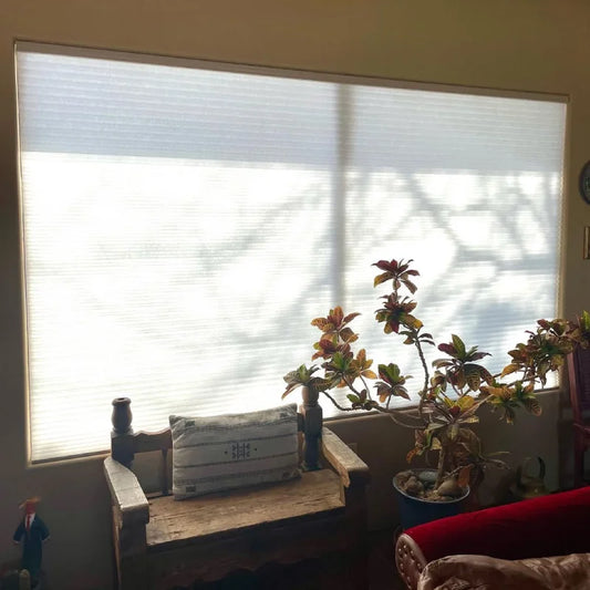 No Drill No Tools Cordless Light Filtering Cellular Shades Custom